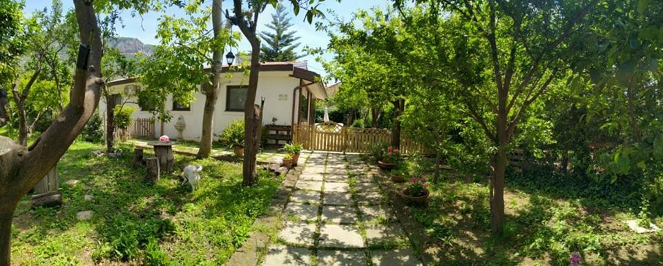 Bed and Breakfast Villino L'Aranceto Sorrentino Мета Экстерьер фото