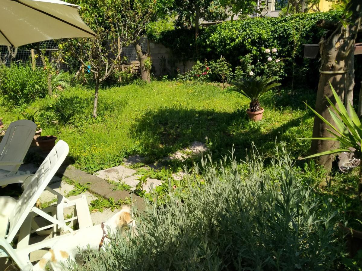 Bed and Breakfast Villino L'Aranceto Sorrentino Мета Экстерьер фото