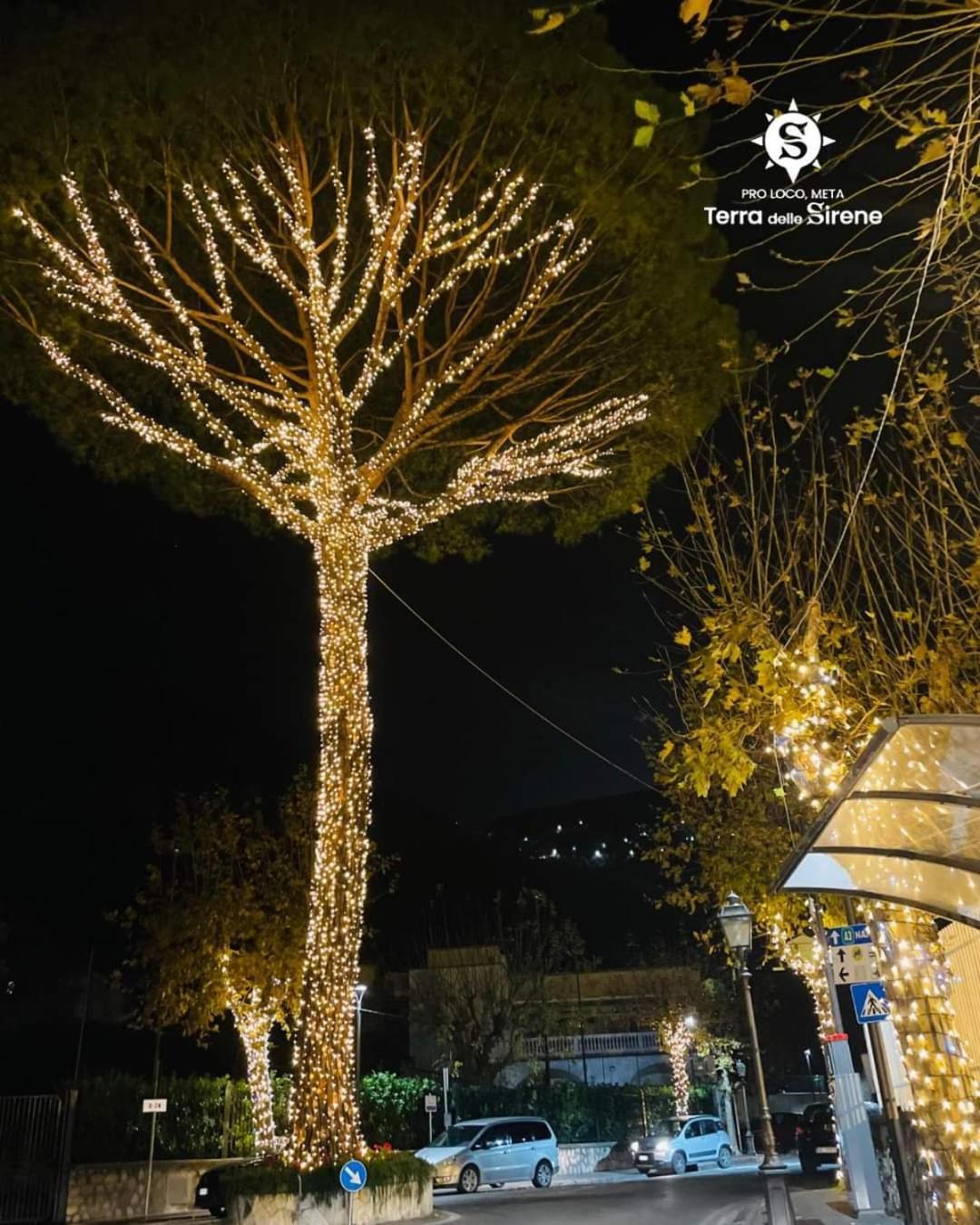 Bed and Breakfast Villino L'Aranceto Sorrentino Мета Экстерьер фото