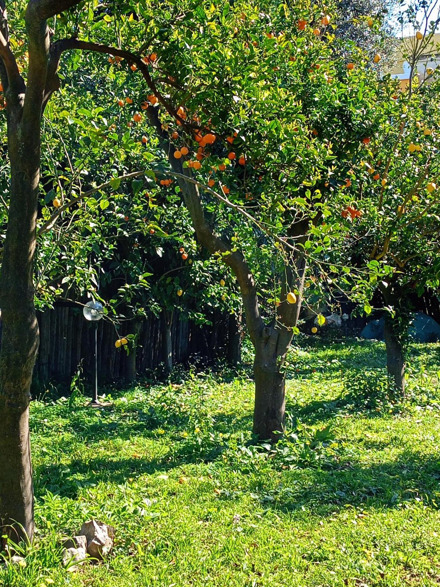 Bed and Breakfast Villino L'Aranceto Sorrentino Мета Экстерьер фото