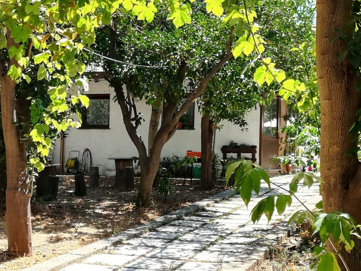 Bed and Breakfast Villino L'Aranceto Sorrentino Мета Экстерьер фото