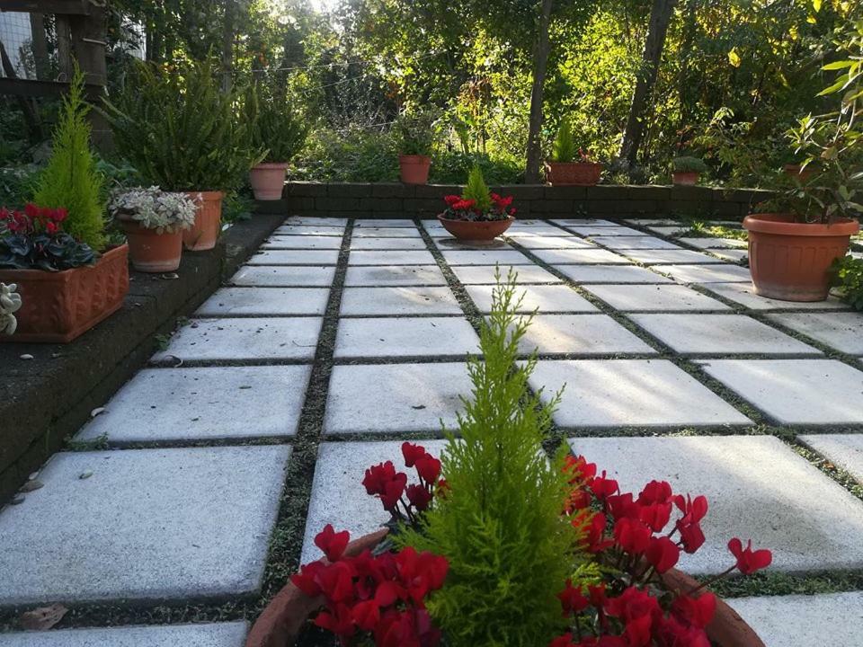 Bed and Breakfast Villino L'Aranceto Sorrentino Мета Экстерьер фото